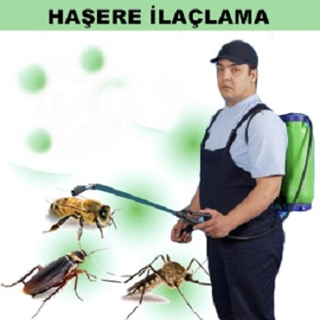 Araç Böcek İlaçlama